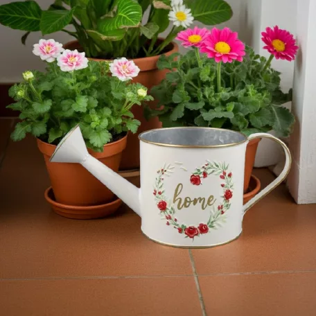 Bádog Öntözőkanna 27 cm Home 081009