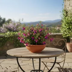 Virágtál 35 Cm Eolia 5535