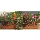 Balkonláda+Alátét 80 Cm Rialto 9923