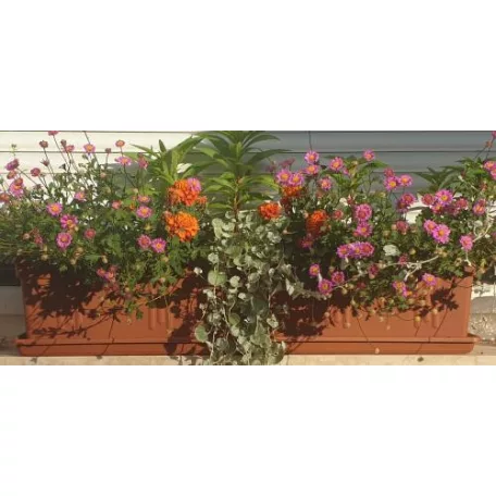 Balkonláda+Alátét 80 Cm Rialto 9923