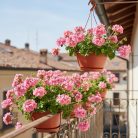 Függesztett Virágcserép Nagy