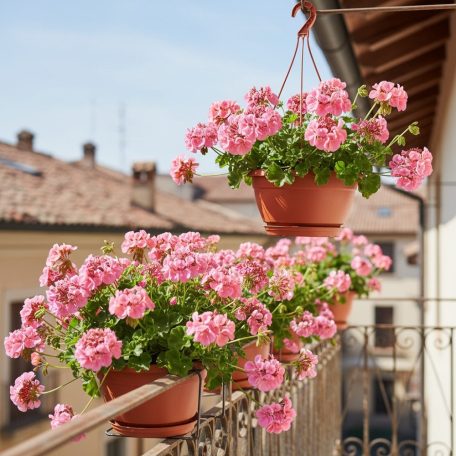 Függesztett Virágcserép Nagy