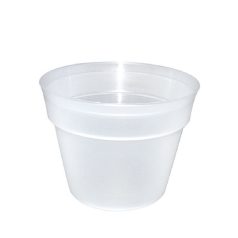 Orchidea Virágcserép 16 Cm