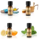 Aranycimkés Illóolajok 3 x 10 ml 